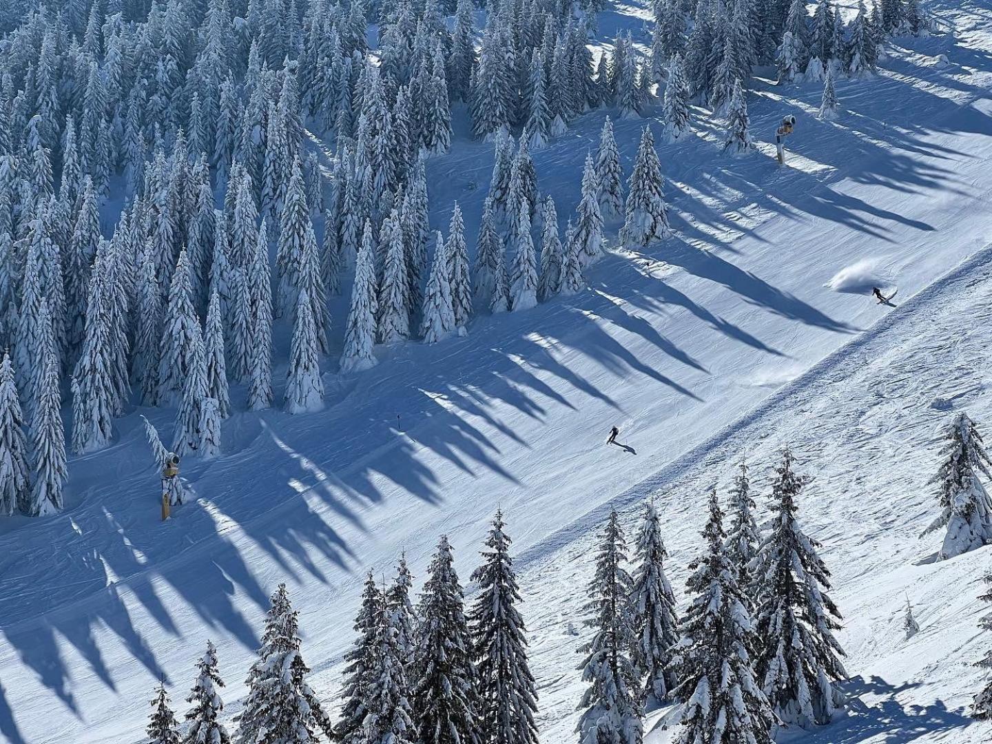 Aparthotel Kopaonik Brzeće Εξωτερικό φωτογραφία